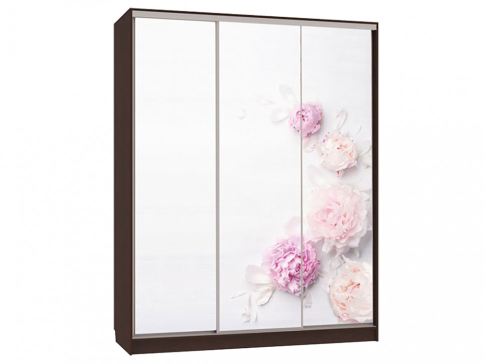 Шкаф-купе Бассо 7 Цветы