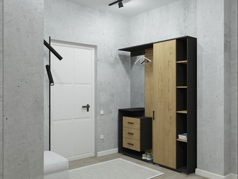 Распашной шкаф Эстет