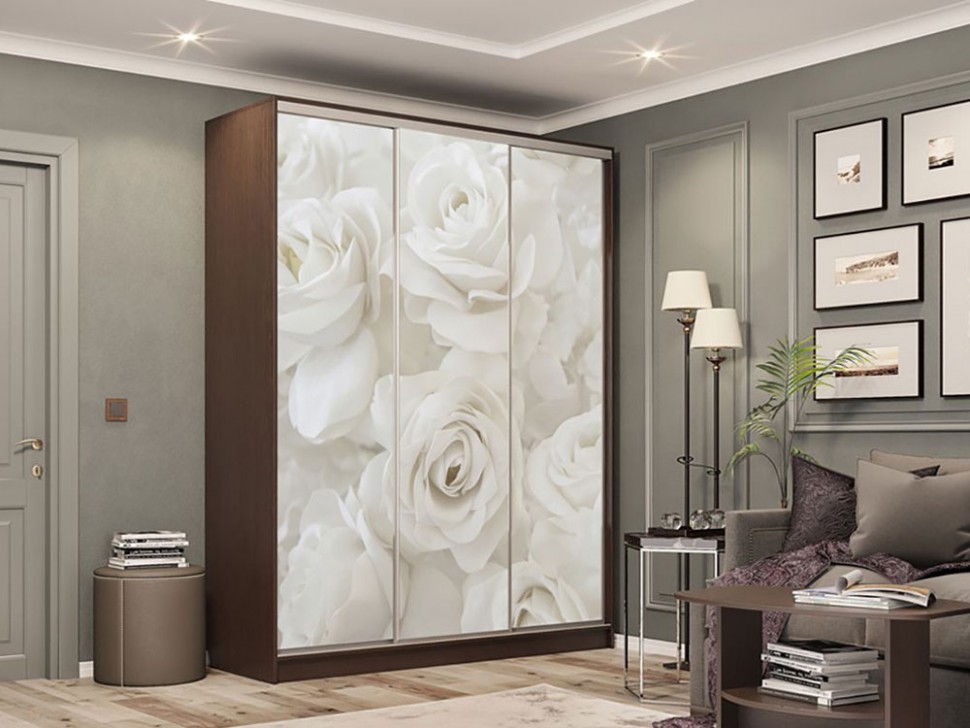 Шкаф-купе Бассо 7-600 розы