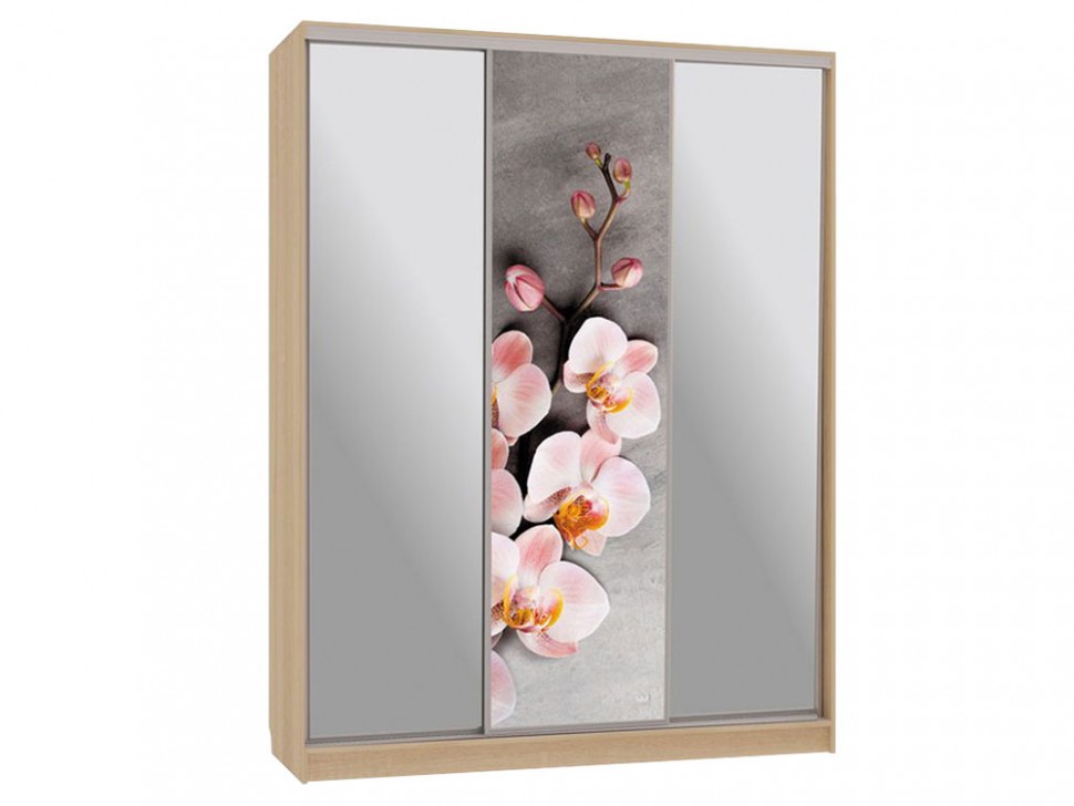 Шкаф-купе Бассо 9 Цветы
