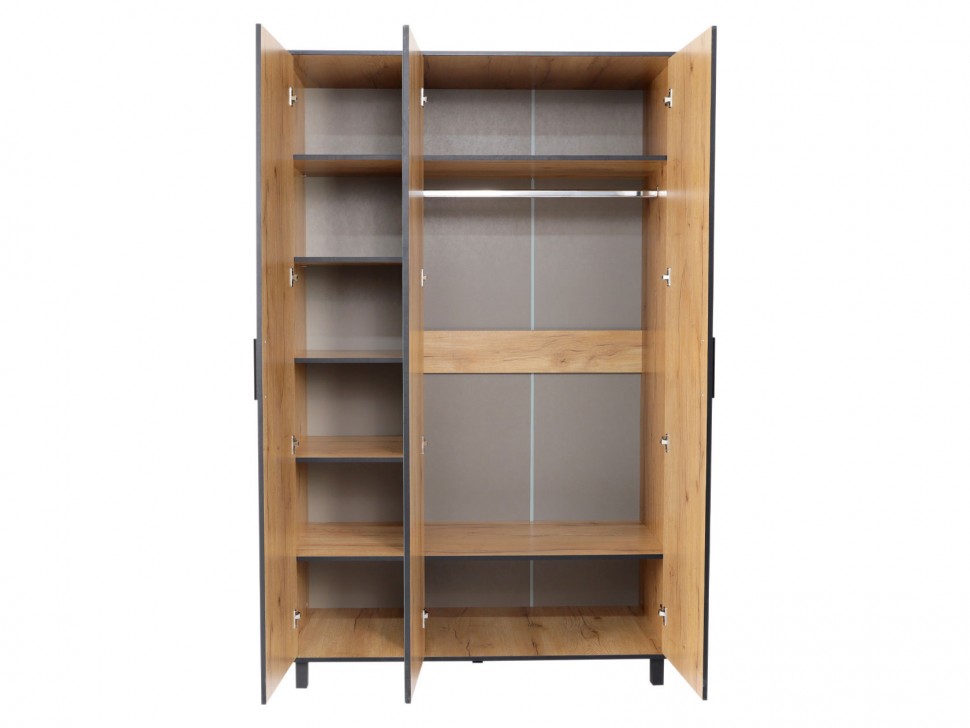 Распашной шкаф Лофт