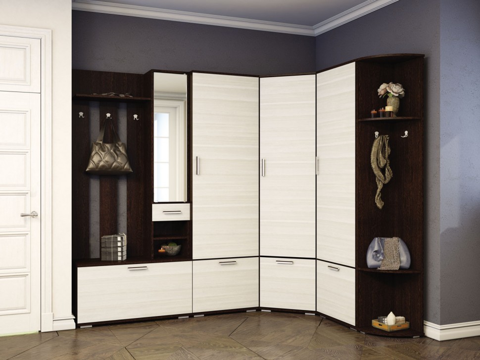 Распашной шкаф Ника