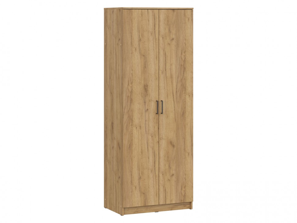 Распашной шкаф Спейд