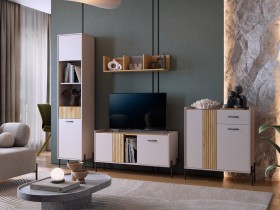 Гостиная Доминика со стеллажом