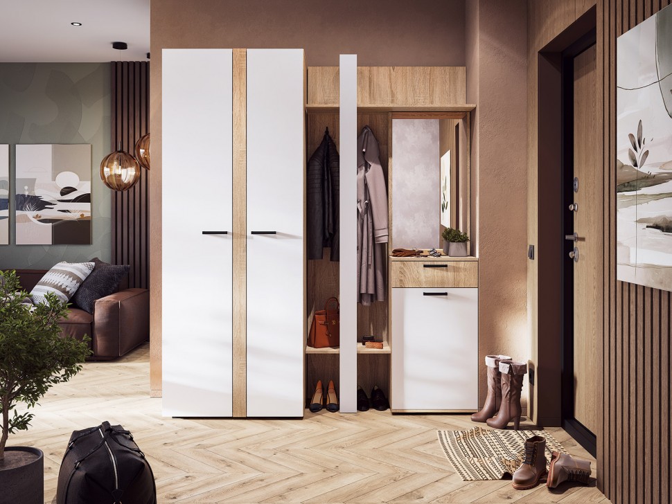 Распашной шкаф Санса