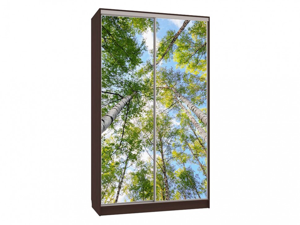 Шкаф-купе Колорадо 7 Деревья