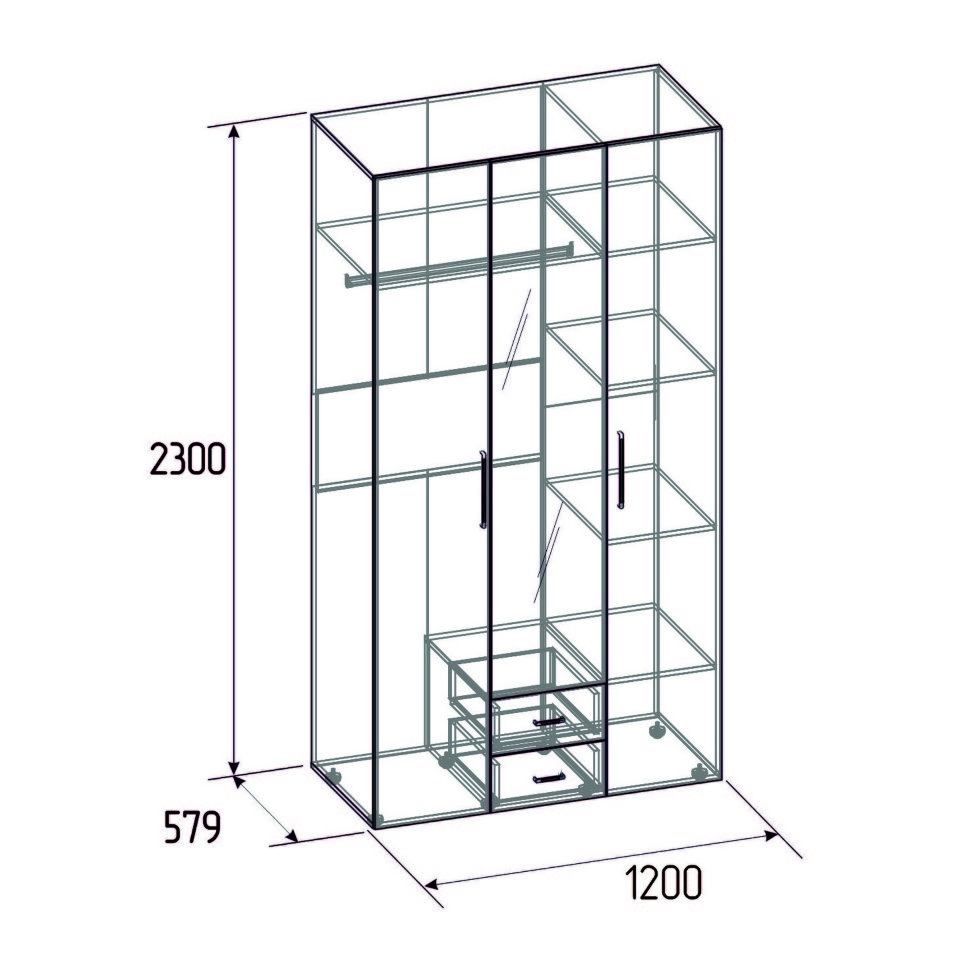 Шкаф распашной Монако 2