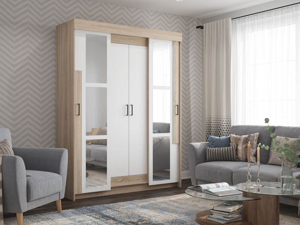 Шкаф-купе Виктор