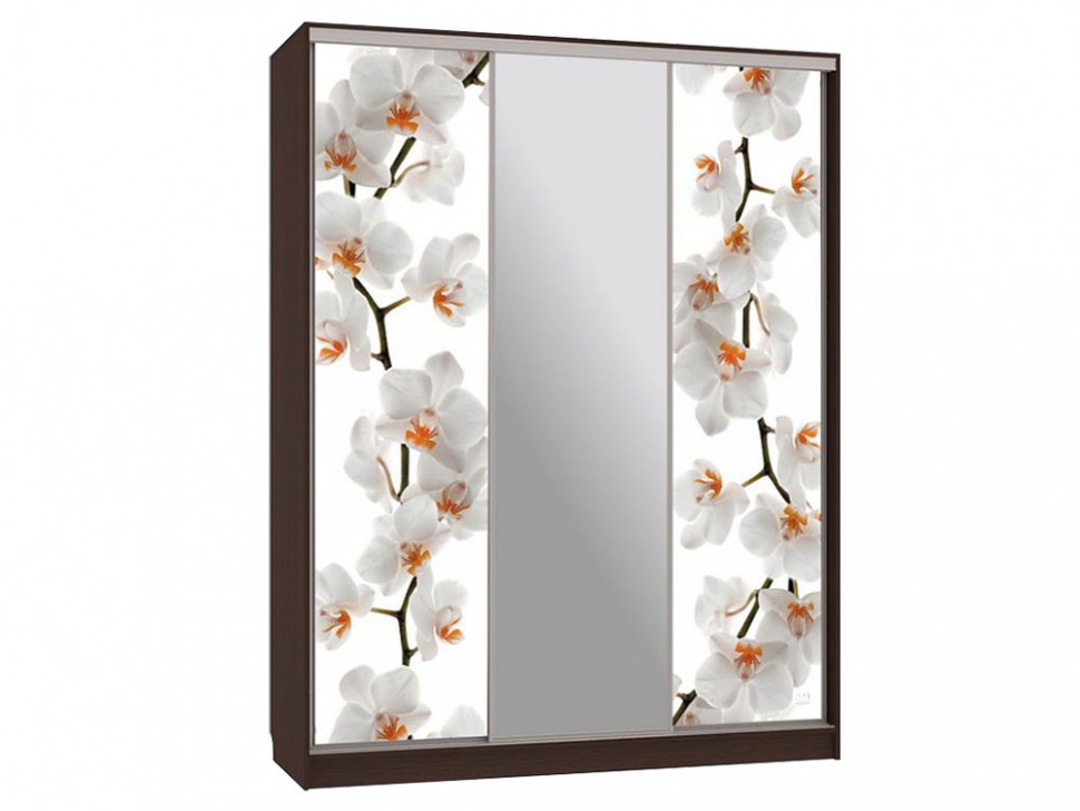 Шкаф-купе Бассо 10 Цветы