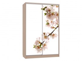 Шкаф-купе Колорадо 7 Яблоня