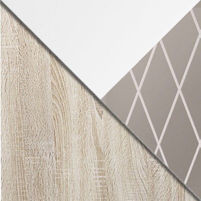 Шкаф-купе Шкаф-купе Фортуна 13 две двери