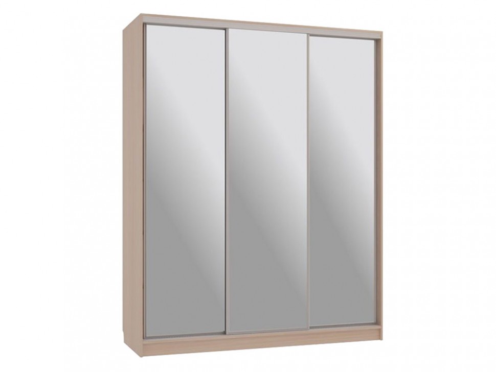 Шкаф-купе Бассо 4