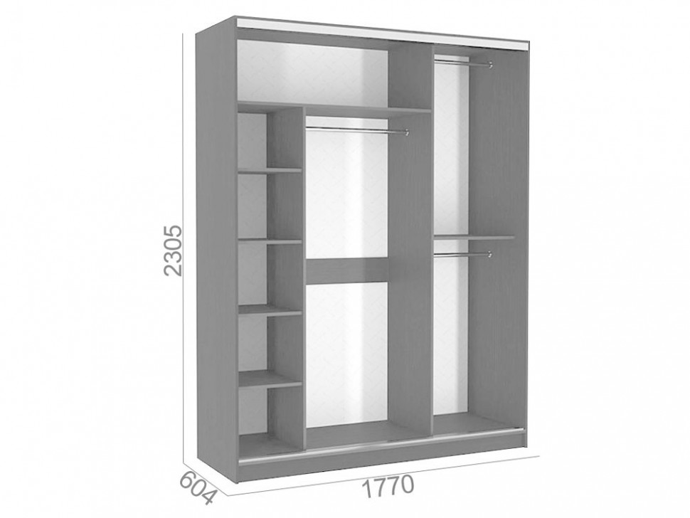 Шкаф-купе Бассо 4 Орхидеи