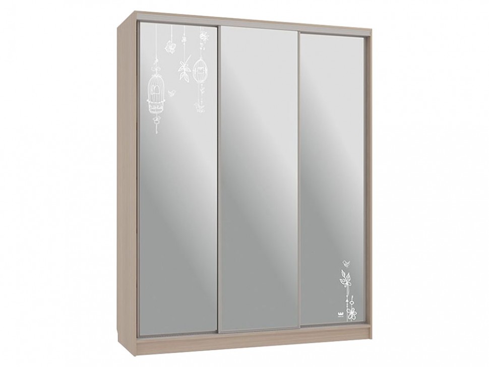 Шкаф-купе Бассо 4 Птицы