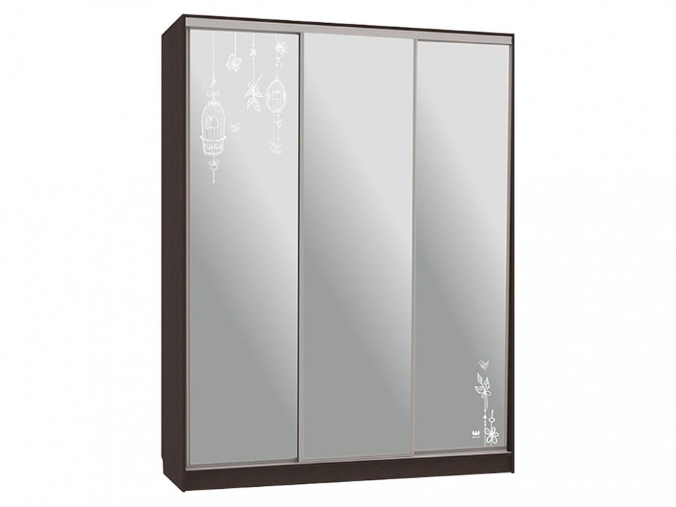 Шкаф-купе Бассо 4 Птицы