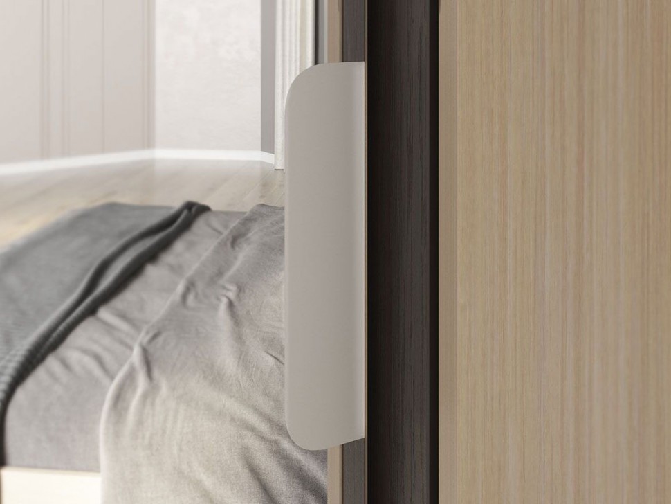 Шкаф-купе Виктория-2