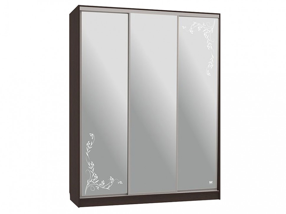 Шкаф-купе Бассо 4 Цветы 2