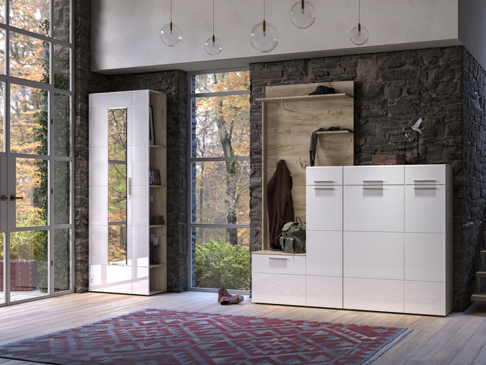 Распашной шкаф Лайн